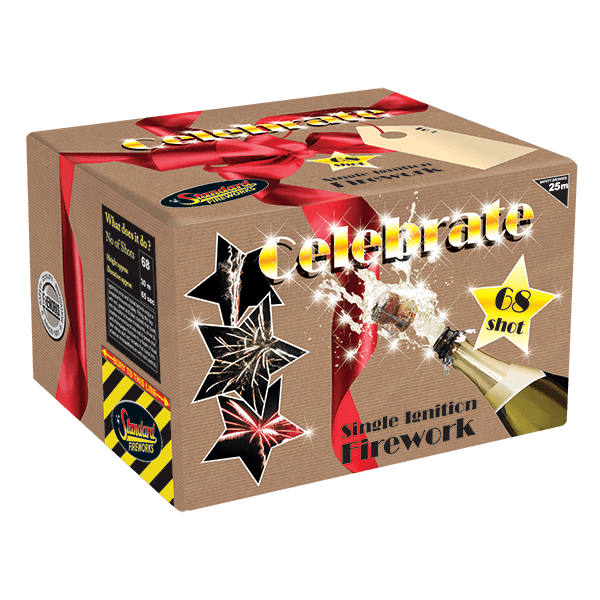 Celebrate-Single-Ignition