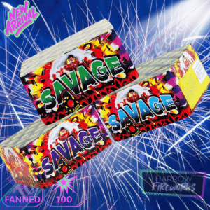 SAVAGE 100 SHOT CAKE | Diamond fireworks - | total home fireworks